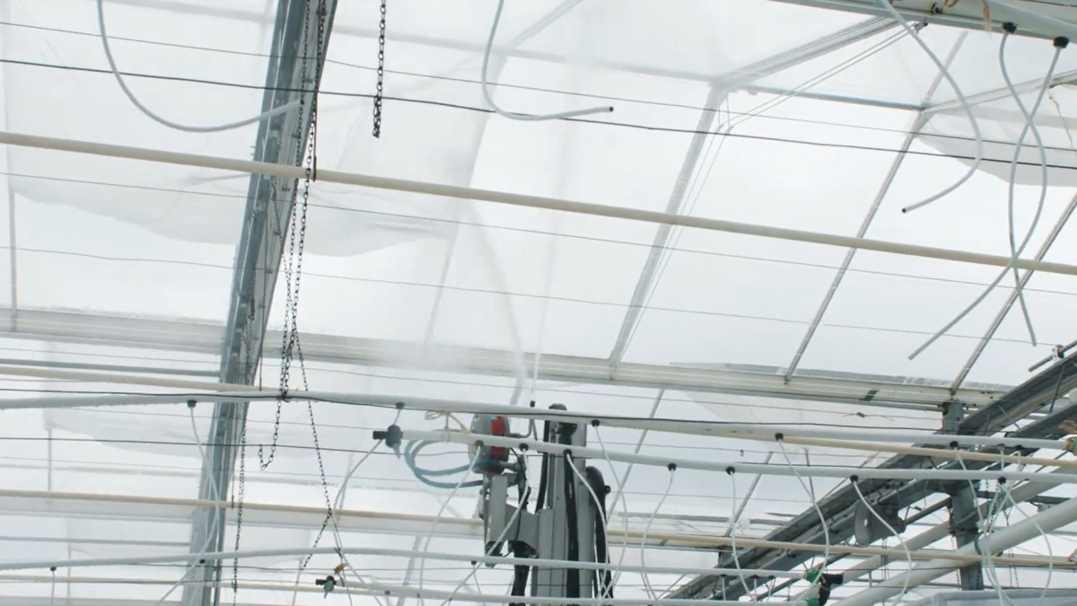 Chemiton schoonmaak groothandel